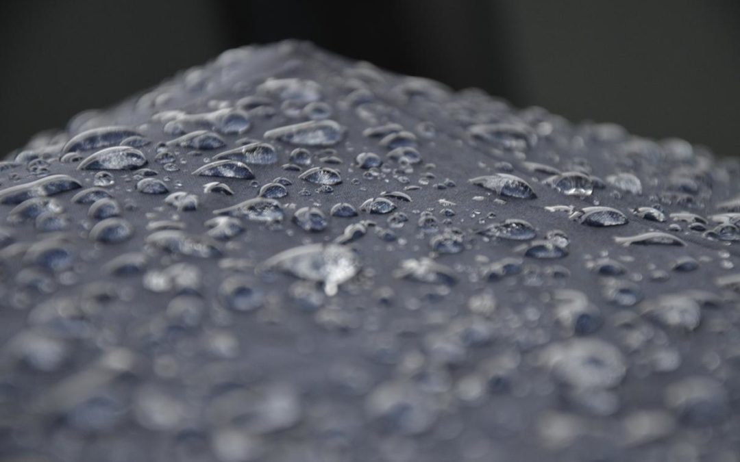 Hic dolor ab et eaque accusamus