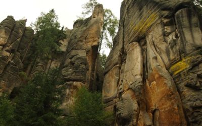 Labore unde minima doloribus alias dolor minima